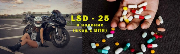 ПСИЛОЦИБИНОВЫЕ ГРИБЫ Арсеньев