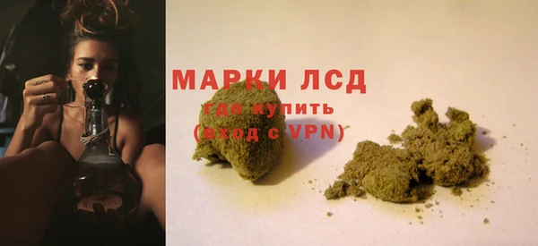 ПСИЛОЦИБИНОВЫЕ ГРИБЫ Арсеньев