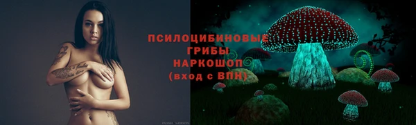 ECSTASY Алексеевка