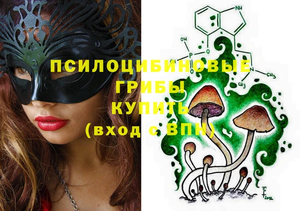 ПСИЛОЦИБИНОВЫЕ ГРИБЫ Арсеньев