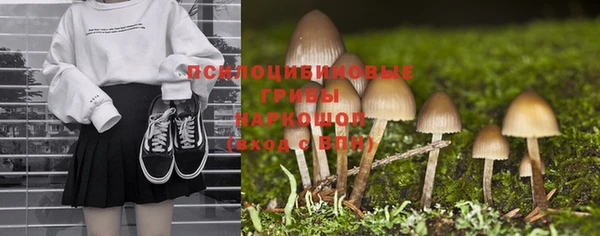ПСИЛОЦИБИНОВЫЕ ГРИБЫ Арсеньев
