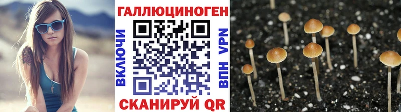 Псилоцибиновые грибы прущие грибы  Нарткала 